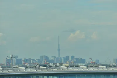 DSC_4057 (Large).JPG